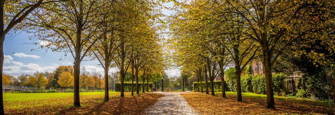 Riverside_Walk