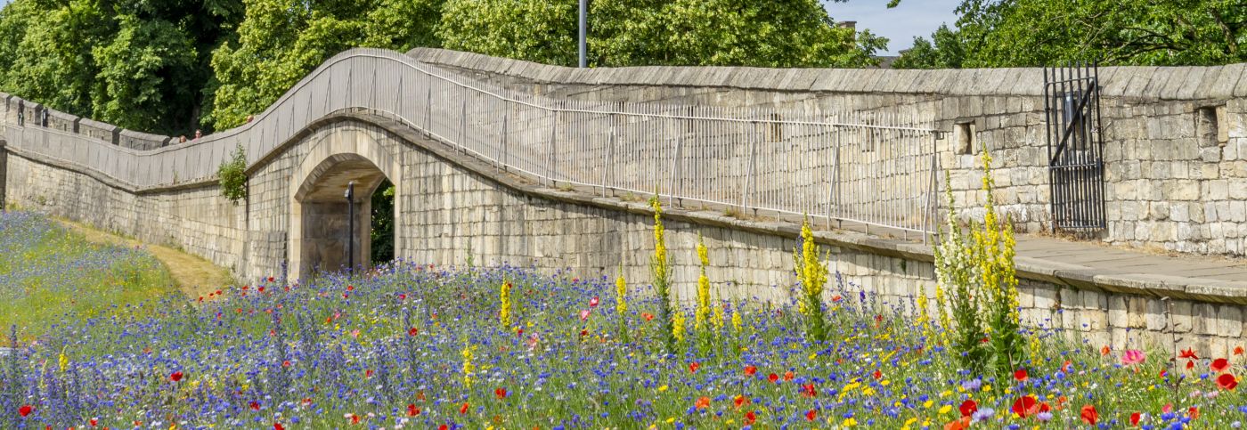 York_City_Walls