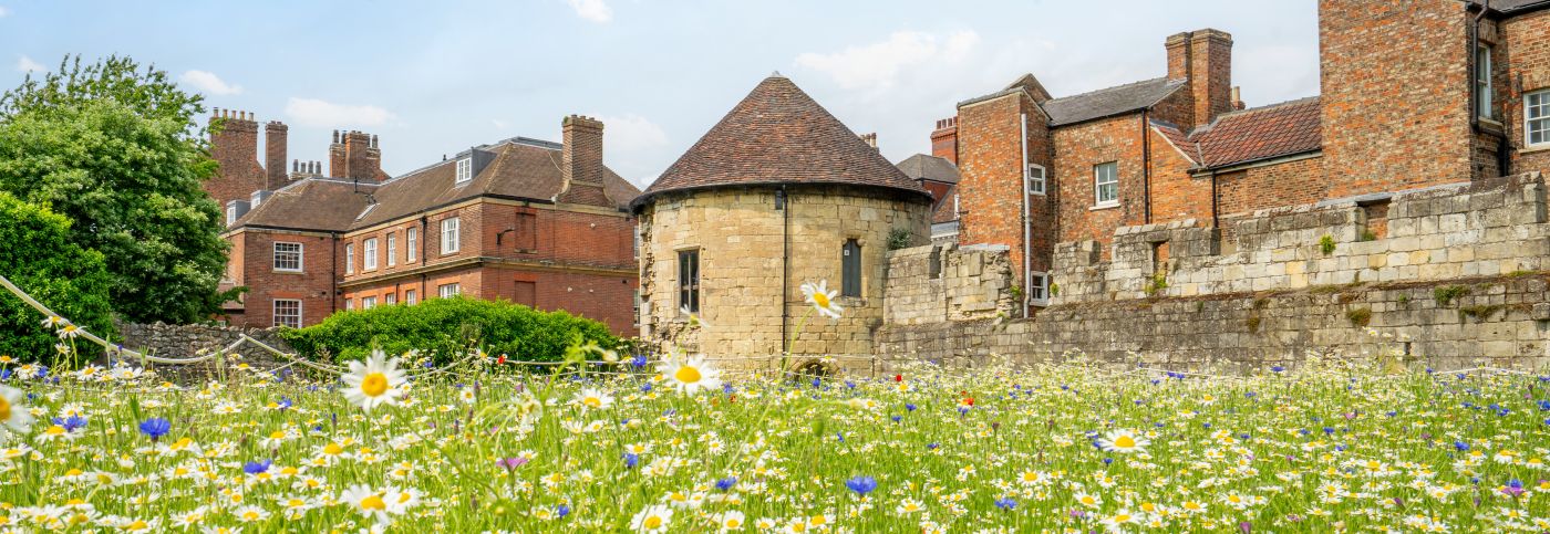York_Gardens