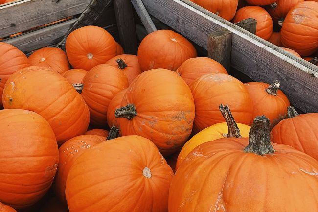 crate_of_pumpkins